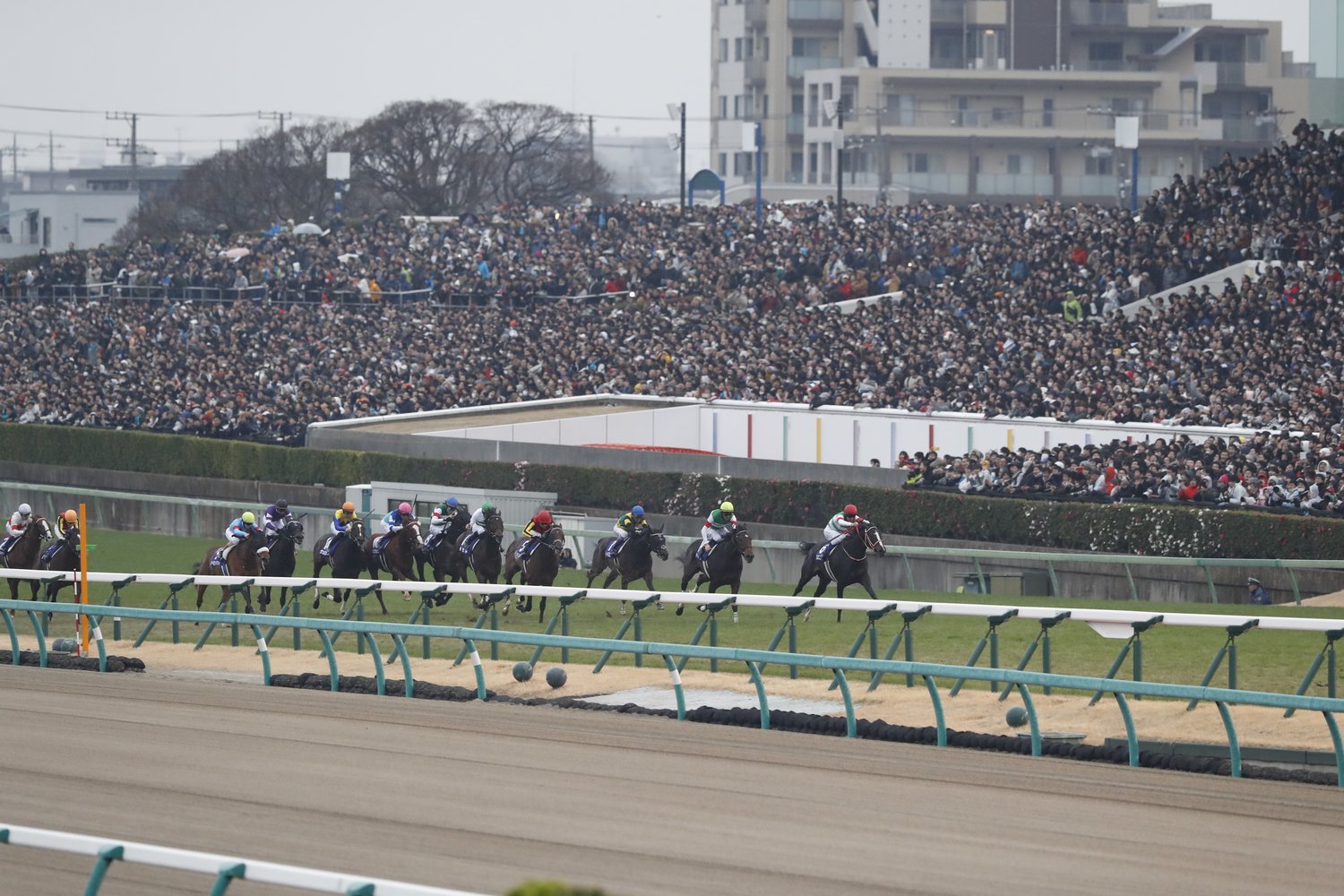 有馬記念 中山競馬場ってドコにある Jr武蔵野線の ナゾの競馬駅 船橋法典駅 に行ってみた 競馬 Number Web ナンバー