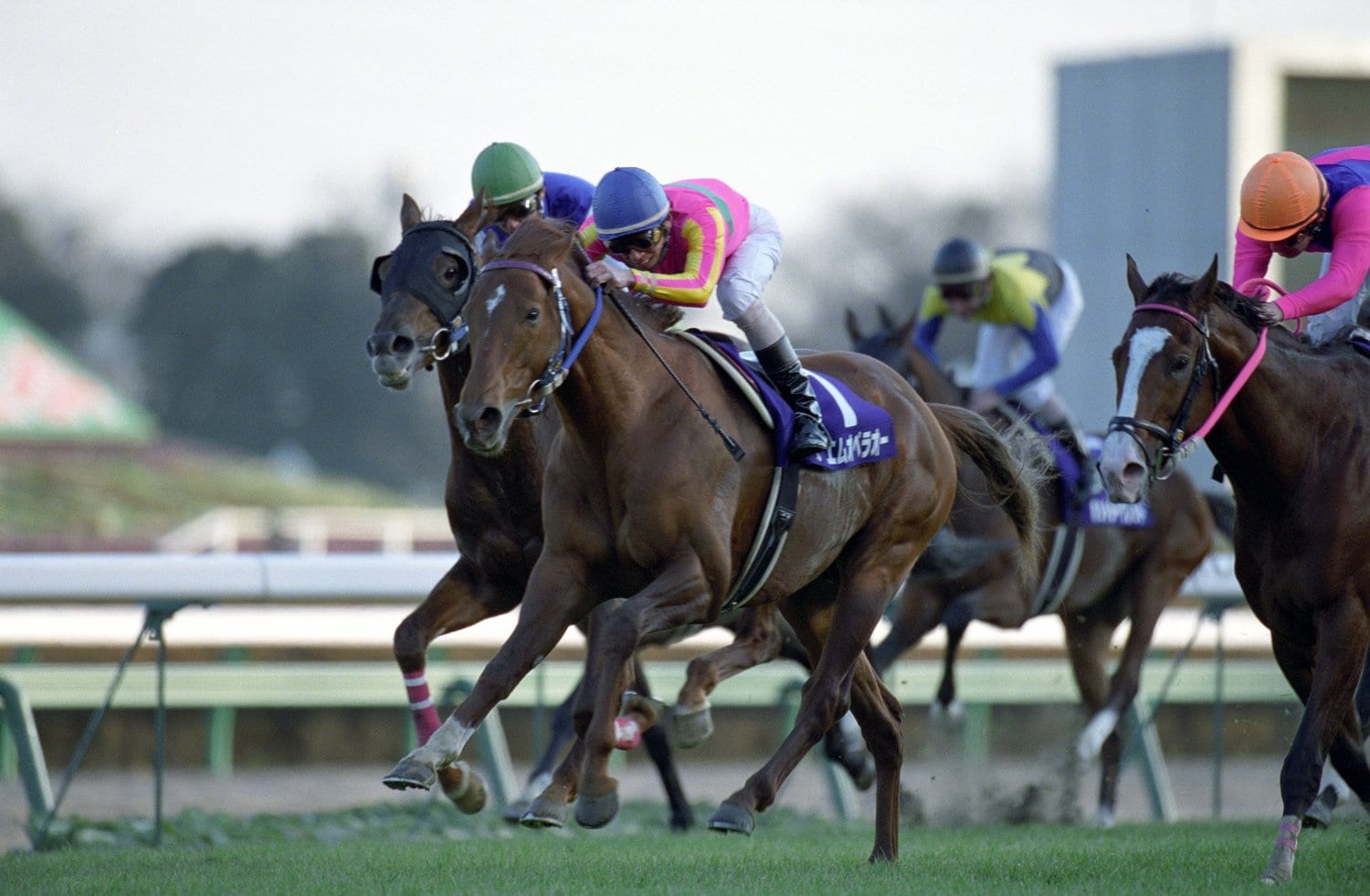 送料無料・選べる4個セット 【現地的中】テイエムオペラオー（宝塚記念