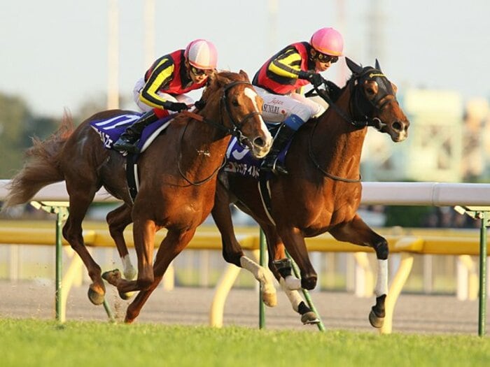 三冠牝馬がJCをも制覇。怪物を退け、王座交代なる。～非凡さ見せつけたジェンティル～＜Number Web＞ photograph by Yuji Takahashi