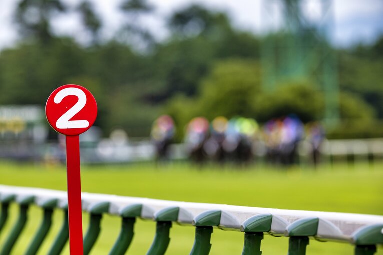 新潟競馬場 ／ photograph by photostud