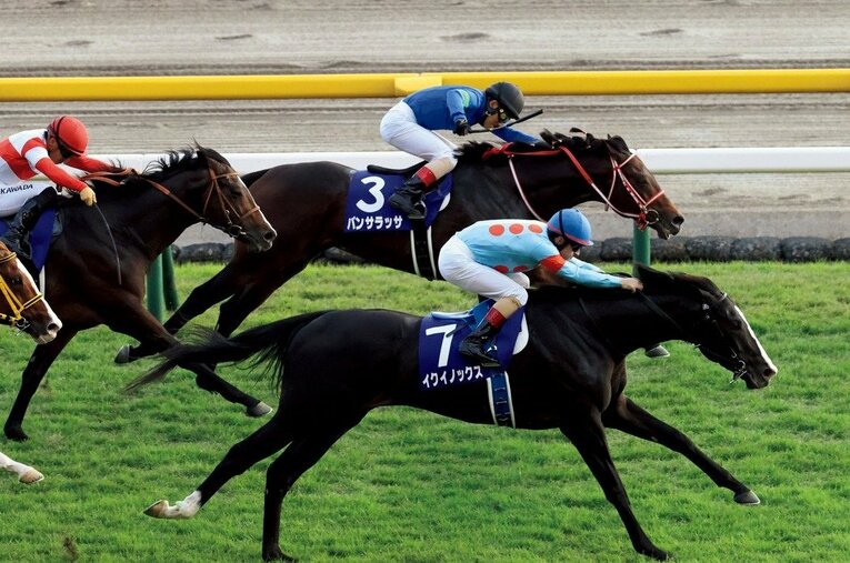 2022年天皇賞・秋で大逃げしたパンサラッサ（奥）をイクイノックスが差し切った ／ photograph by JRA