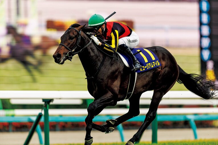 ミュージアムマイル／2022年生まれ。［父］リオンディーズ［母］ミュージアムヒル［生産］ノーザンファーム［馬主］サンデーレーシング［調教師］高柳大輔（栗東）［通算成績］6戦3勝［主な勝鞍］25年皐月賞（GI） ©︎Kichi Matsumoto