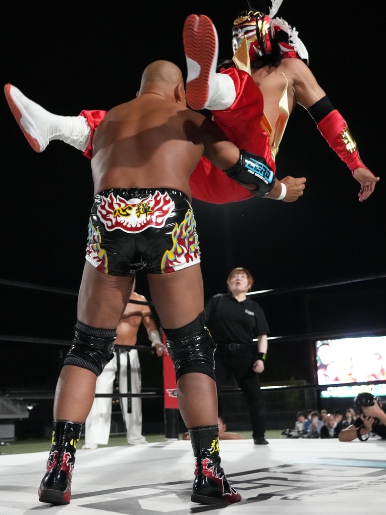 フランケンシュタイナーで田中将斗を攻めるハヤブサ　©Essei Hara