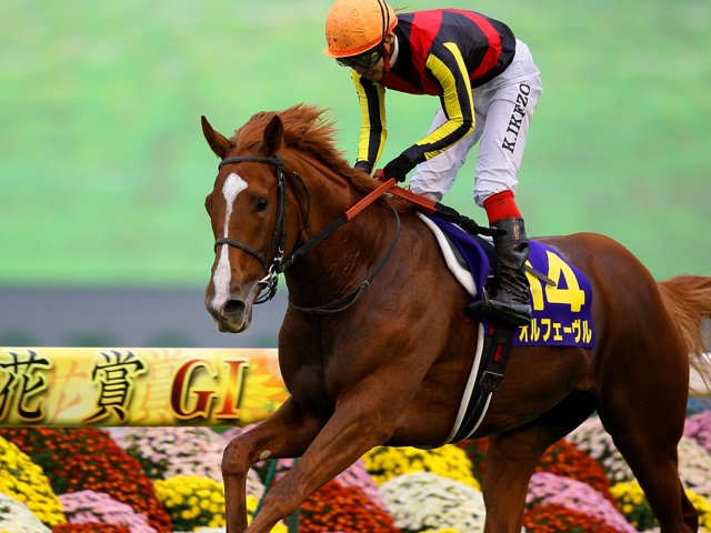 有馬記念に見る、“黄金時代”再来への道。～オルフェーヴルvs.ブエナビスタ～ - 競馬 - Number Web - ナンバー