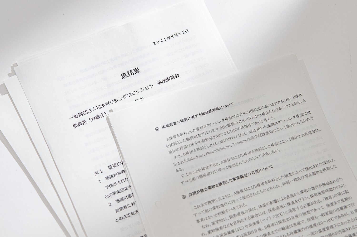 井岡側から提出された意見書