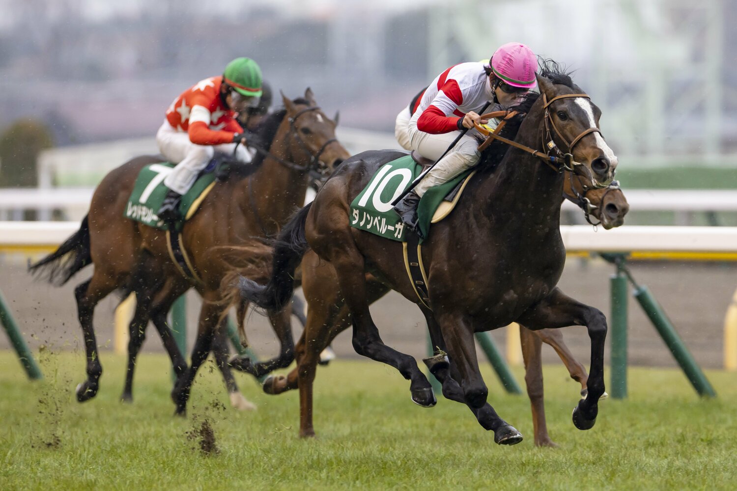 共同通信杯の勝ち馬ダノンベルーガ　©Photostud