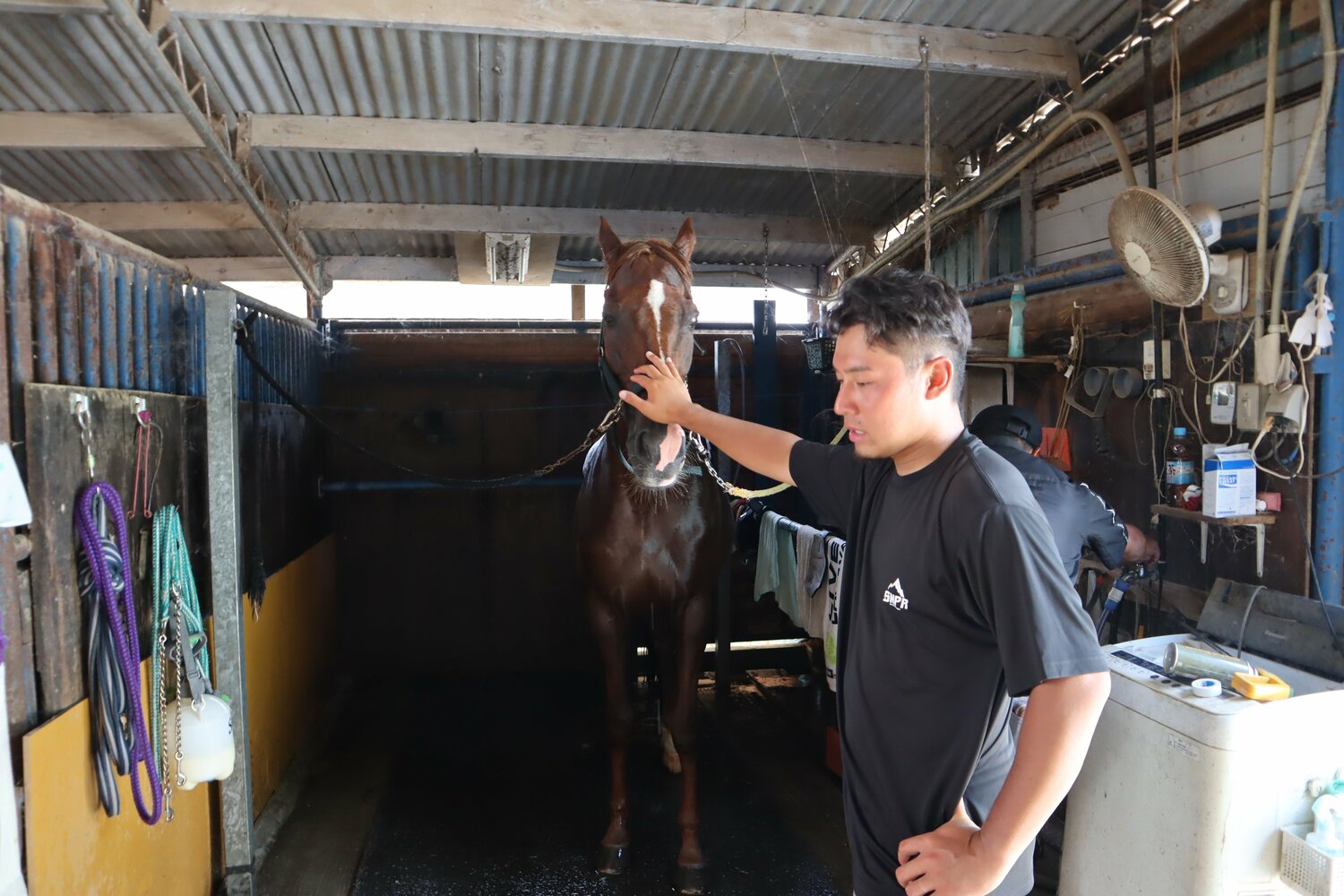 本田博信さん宅の厩舎で取材に応じる長男の賢一郎さん