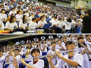 侍ジャパン壮行試合で豪華応援対決！“美爆音”習志野vs.伝統の六大学。