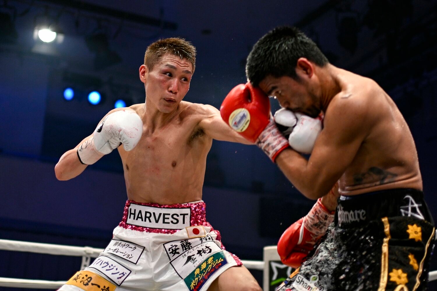 今年4月、タパレスから金星を挙げた小國はWBO6位に浮上した　©AFLO