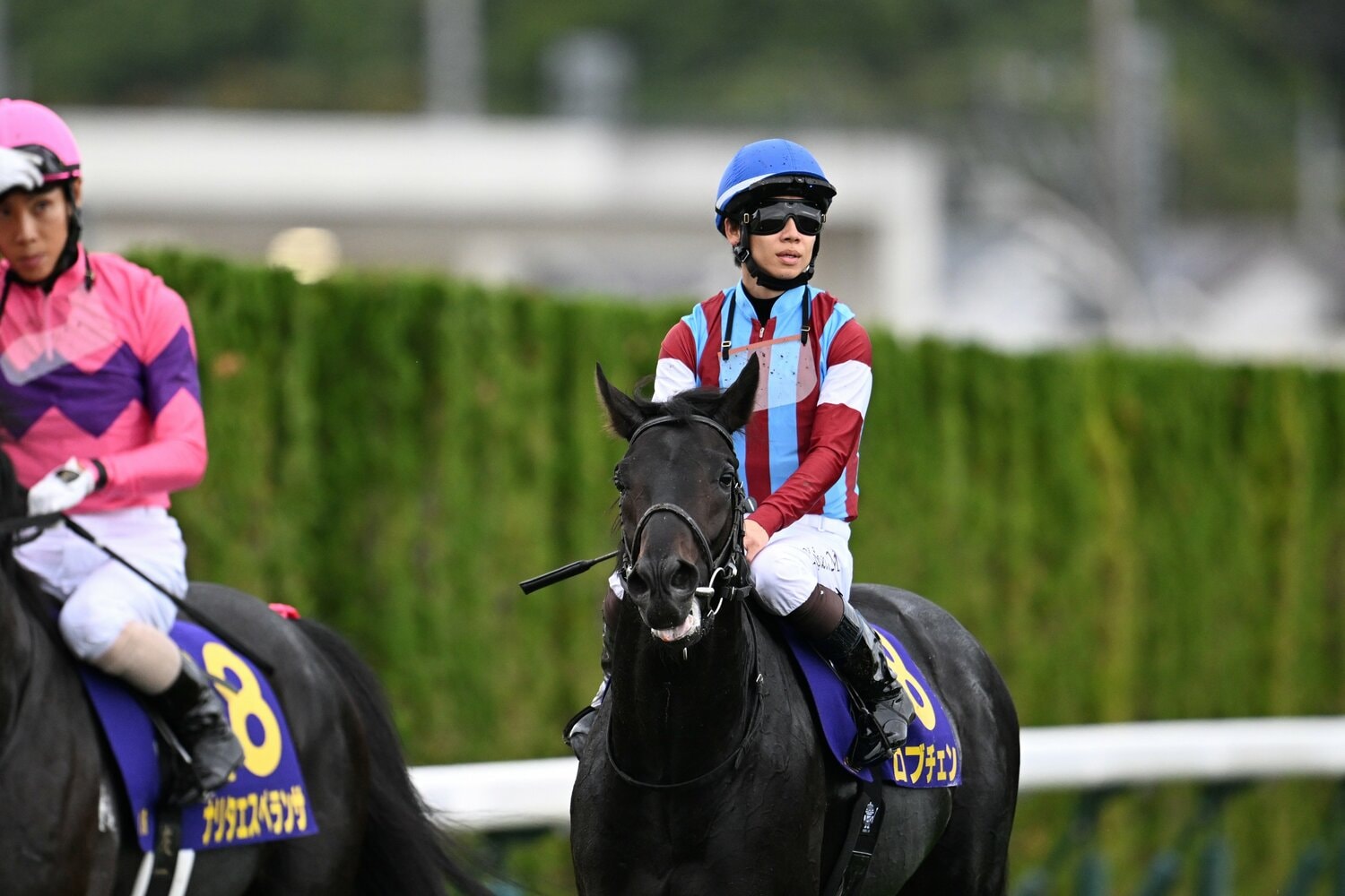 レース後のロブチェンと松山弘平。14着というまさかの結果に憔悴していた ©Keiji Ishikawa