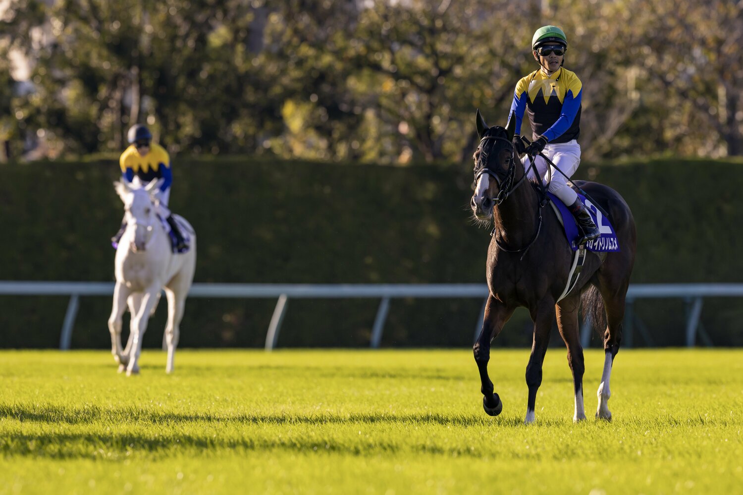 同じ勝負服のアカイトリノムスメが1着でゴール板を駆け抜ける中、不可解な大敗を喫した秋華賞　©Photostud