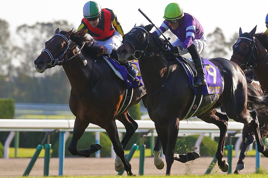 ルメールの判断、度胸、運は段違い。4戦目の馬で菊花賞制覇の名手ぶり。＜Number Web＞ photograph by Yuji Takahashi