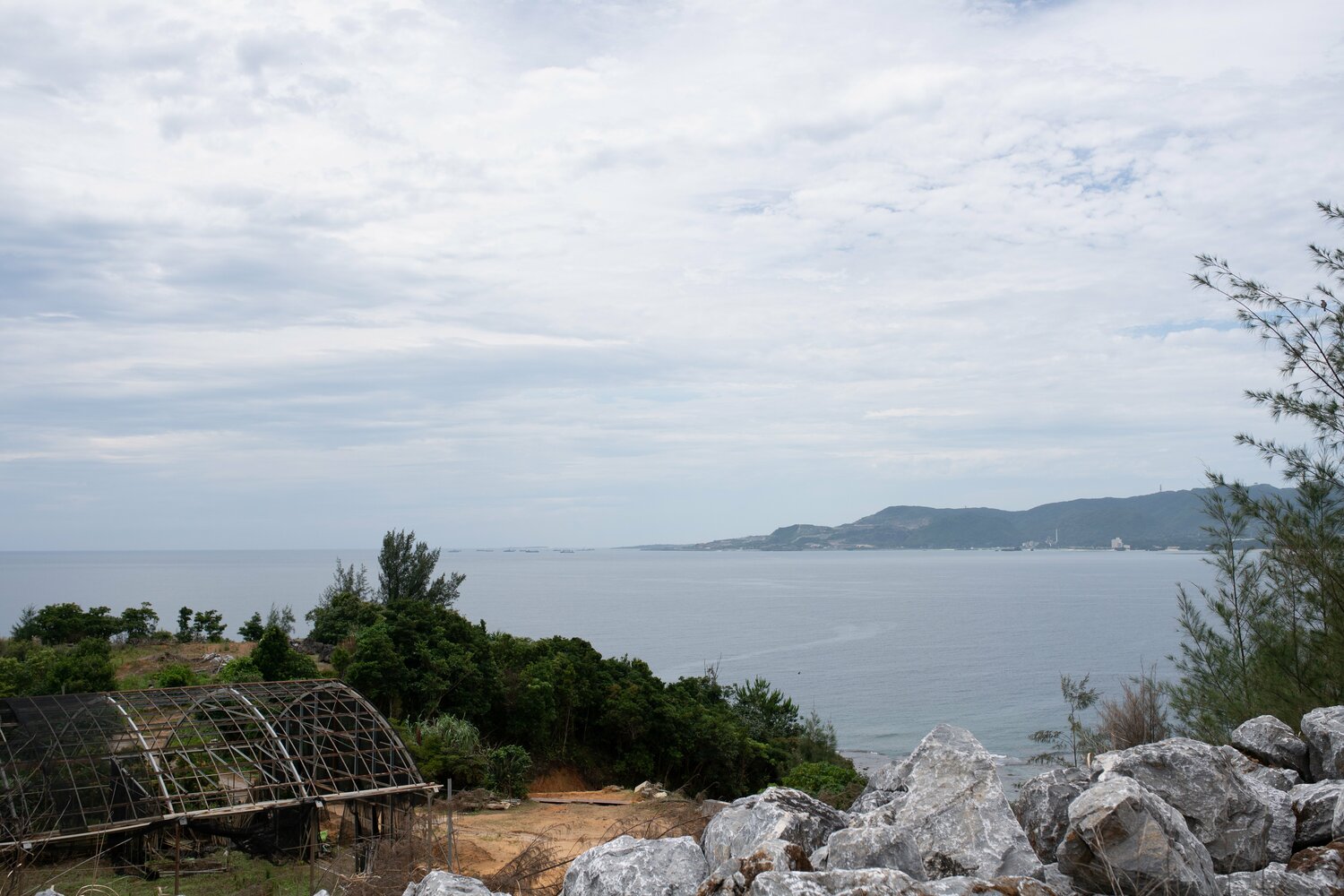 名護市の高台にあるコーヒー畑。海もすぐ見えた　©Nanae Suzuki