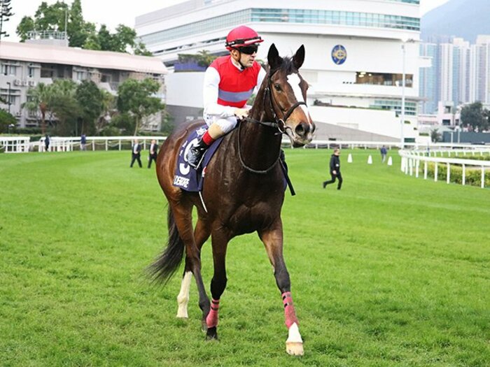 日本馬の海外GI、今年は勝利できず。香港国際の3つの2着に感じた無念。<Number Web> photograph by Satoshi Hiramatsu