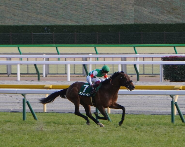 共同通信杯を勝ったエフフォーリア