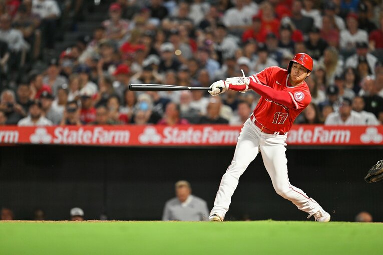 大谷29号の連続写真（3／9） ©Nanae Suzuki