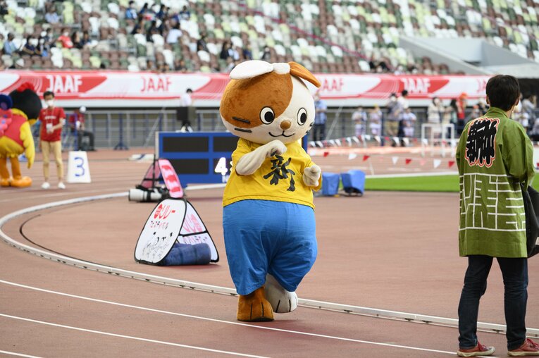 浅草新仲見世商店街振興組合のマスコット浅草新にゃかは、お買い物が大好き　Hirofumi Kamaya