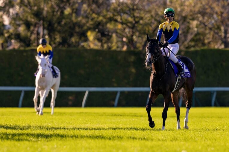 同じ勝負服のアカイトリノムスメが1着でゴール板を駆け抜ける中、不可解な大敗を喫した秋華賞　©Photostud