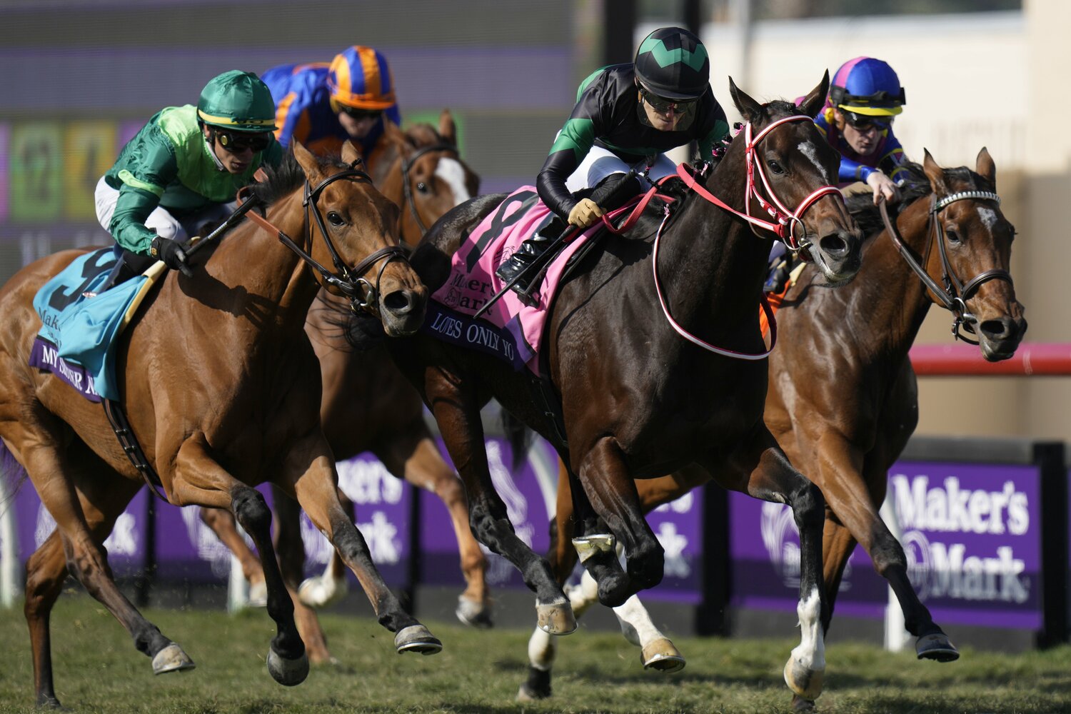 日本調教馬初のBC制覇という偉業を成し遂げたラヴズオンリーユー ©AFLO