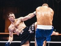 ミルコ・クロコップの左ハイは「芸術の域に達していた」…格闘技