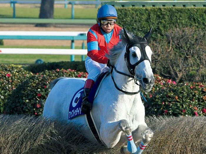 史上初2000回騎乗を花道に!? 鉄人騎手、最後の14戦に注目。~106回の落馬を乗り越えた障害界のレジェンド林満明~<Number Web> photograph by Keiji Ishikawa