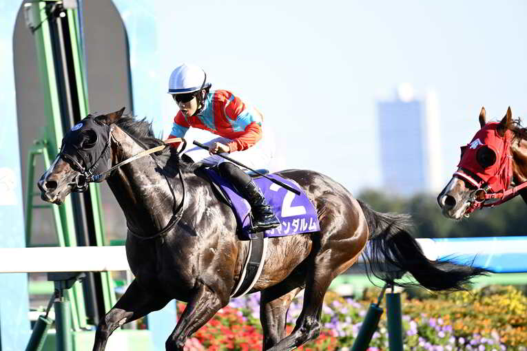 1番人気メイケイエールはなぜ不発に終わった？ 波乱のスプリンターズS、「すべての展開が味方した」ジャンダルムが生んだ“血のドラマ”(35)