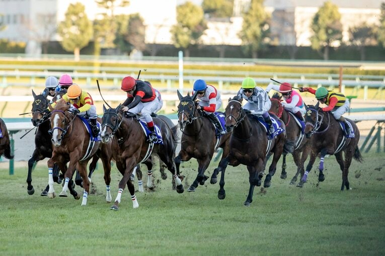 昨年の朝日杯FS（GI）ではドウデュースに惜敗し2着となった（右から5頭目がセリフォス）　©Photostud