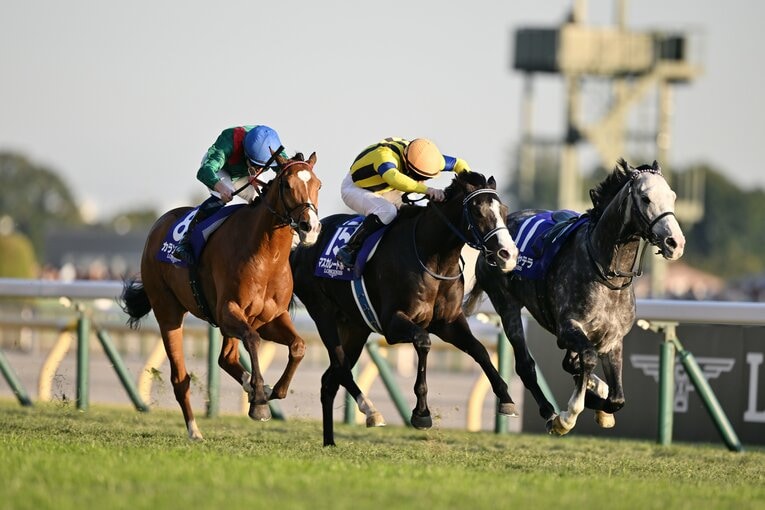 カランダガンとカラ馬のアドマイヤテラに挟まれたマスカレードボール　©Keiji Ishikawa