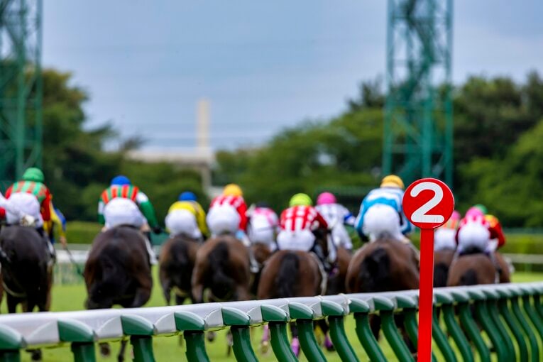 新潟競馬場 ／ photograph by photostud