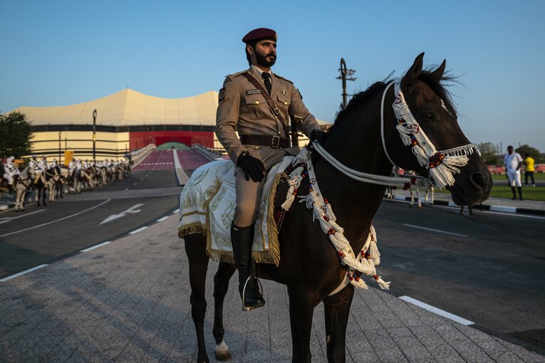 スタジアムに駆けつけたらくだ　©Takuya Sugiyama
