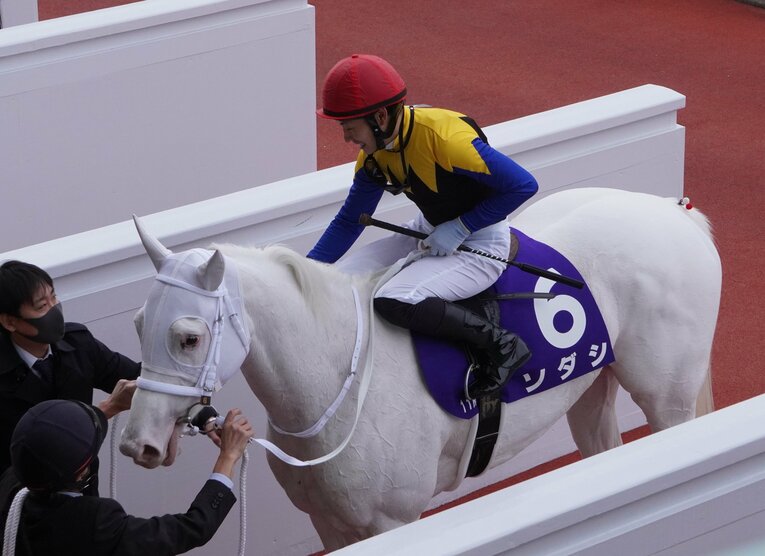 阪神JFにて　©Satoshi Hiramatsu