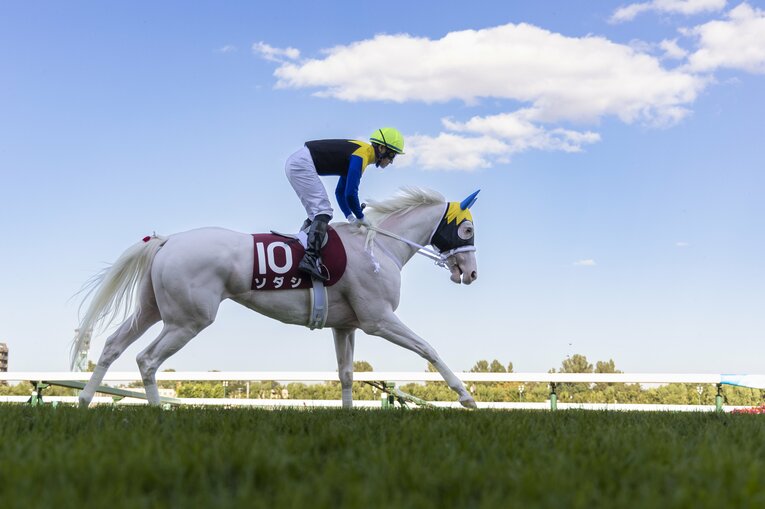 札幌記念のソダシ ／ photograph by photostud