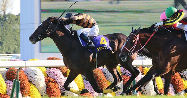 キタサンブラック菊花賞制し7戦5勝。北島三郎、馬主歴53年目のGI初戴冠