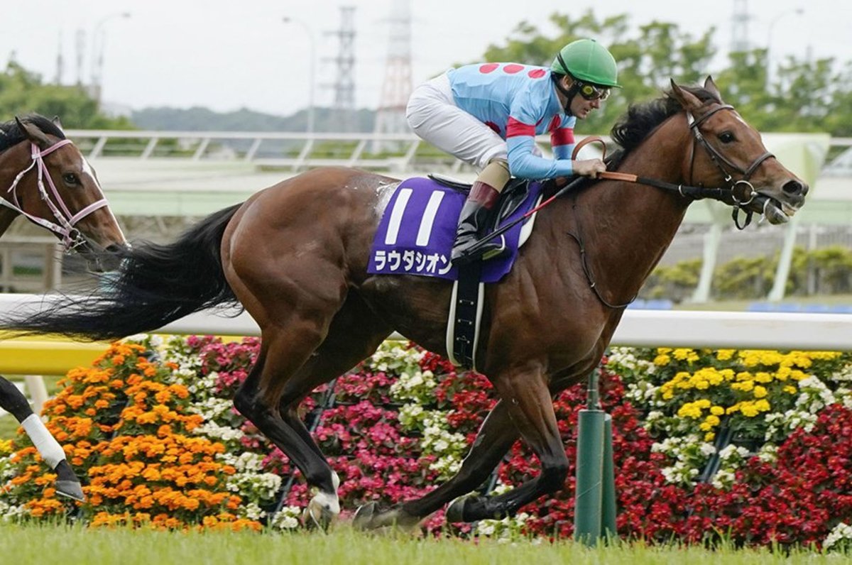 デムーロの お手本騎乗 が炸裂 ラウダシオンがnhkマイル制覇 競馬 Number Web ナンバー