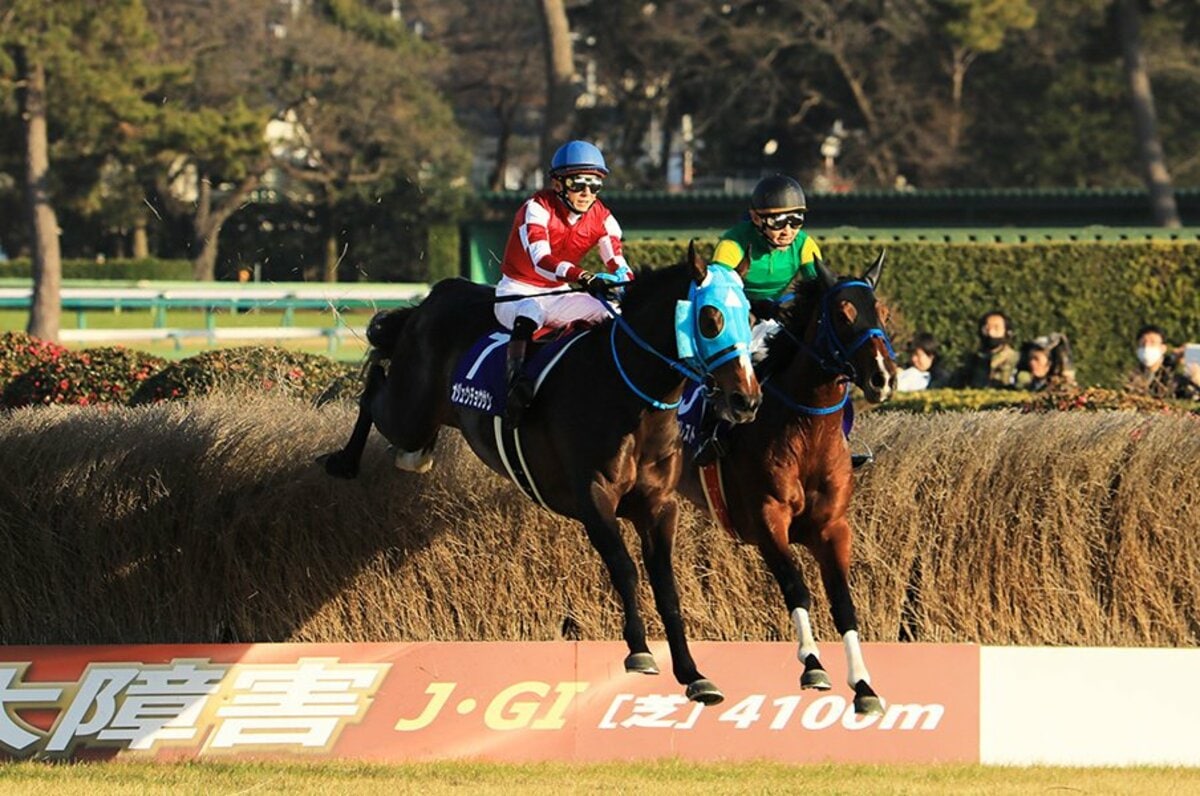 キタサン満票を阻止した障害の名馬。オジュウチョウサンの絶対王者ぶり。（2／4） - 競馬 - Number Web - ナンバー