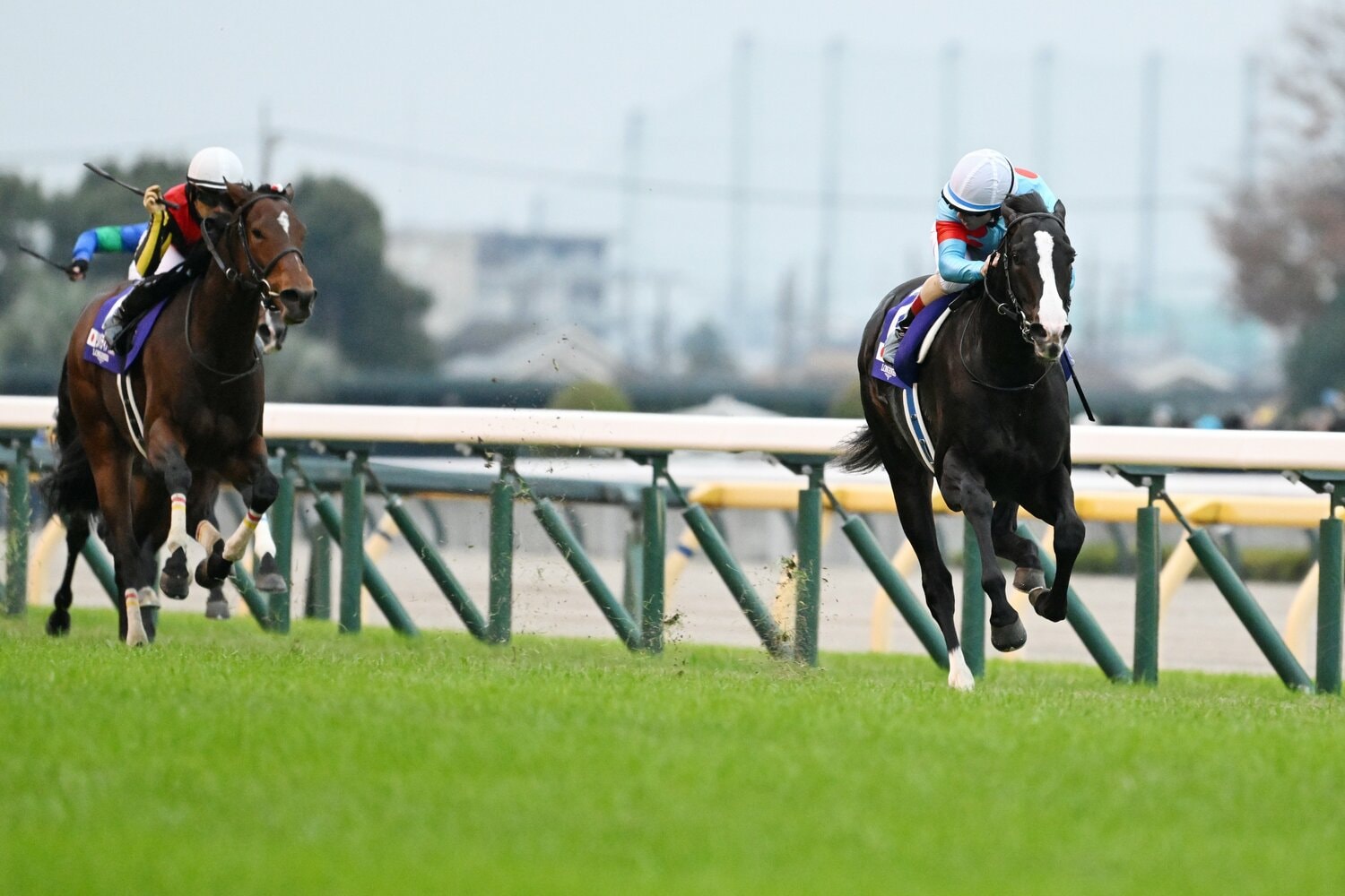 ルメールには後ろを振り返るほどの余裕があった　©Keiji Ishikawa