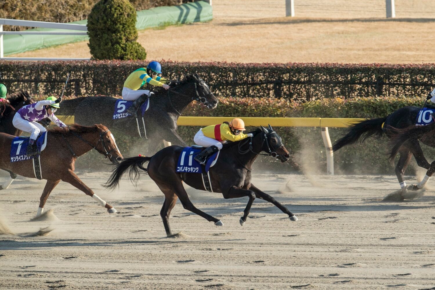 コパノキッキングに騎乗した2019年のフェブラリーステークス。GI初挑戦ながら5着と健闘した ©Kiichi Matsumoto