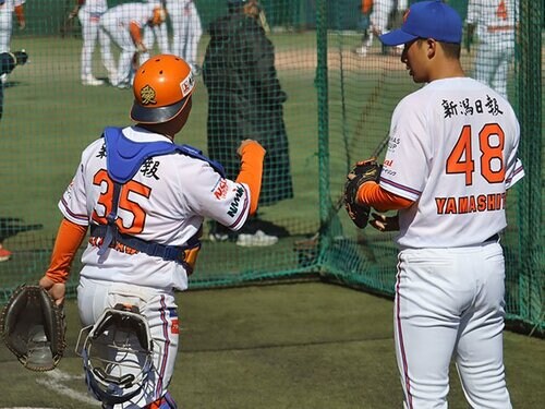 【激レア/関係者支給品】陽岱鋼選手 プロ野球 リストバンド ファイターズ img_dbafeb915eb4a520be736d2969