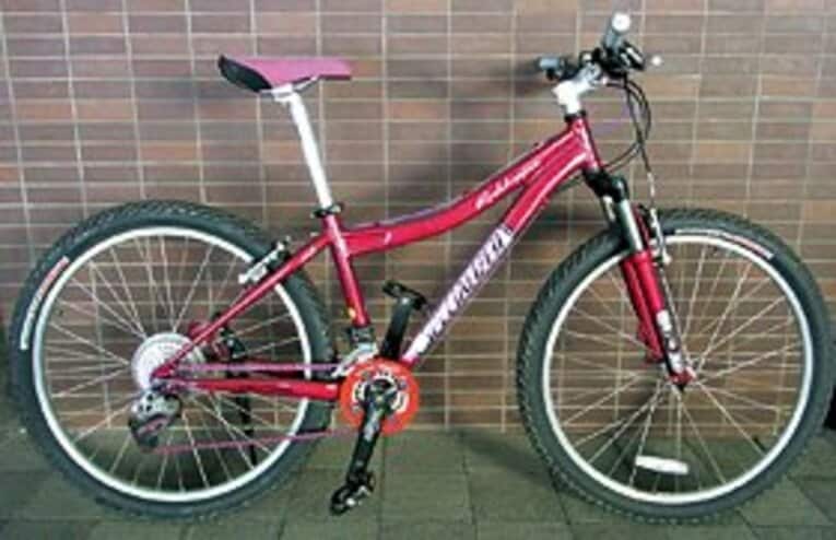 MTB （スペシャライズド ロックホッパー）
「ピンクがお気に入り。知り合いの倉庫で眠っていたかわいそうなMTB。引き取ってメンテナンスしました」