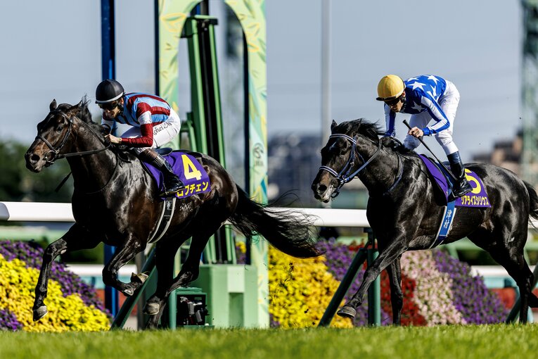 勝ちタイムの1分56秒5はコースレコードだった　©Kiichi Matsumoto