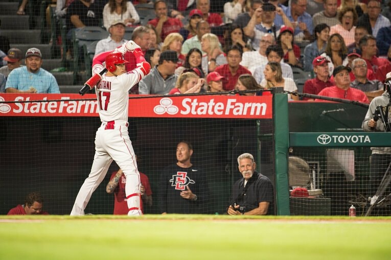 2018年　©Nanae Suzuki