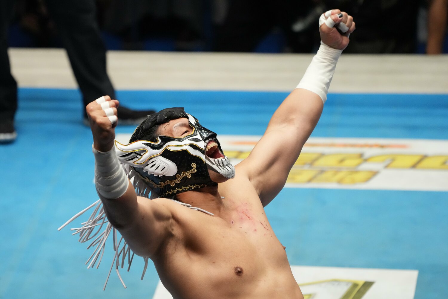 7月4日、後楽園ホール。エル・デスペラードは「葛西コール」で初タッグを組んだ葛西純を迎え入れた