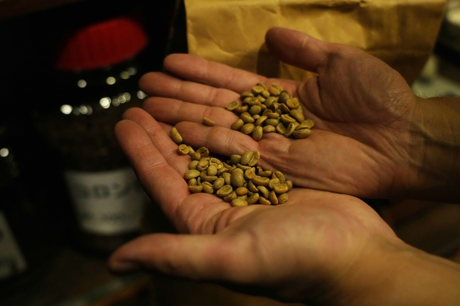 ロースト前の生豆。少し緑色を帯びている　©Essei Hara