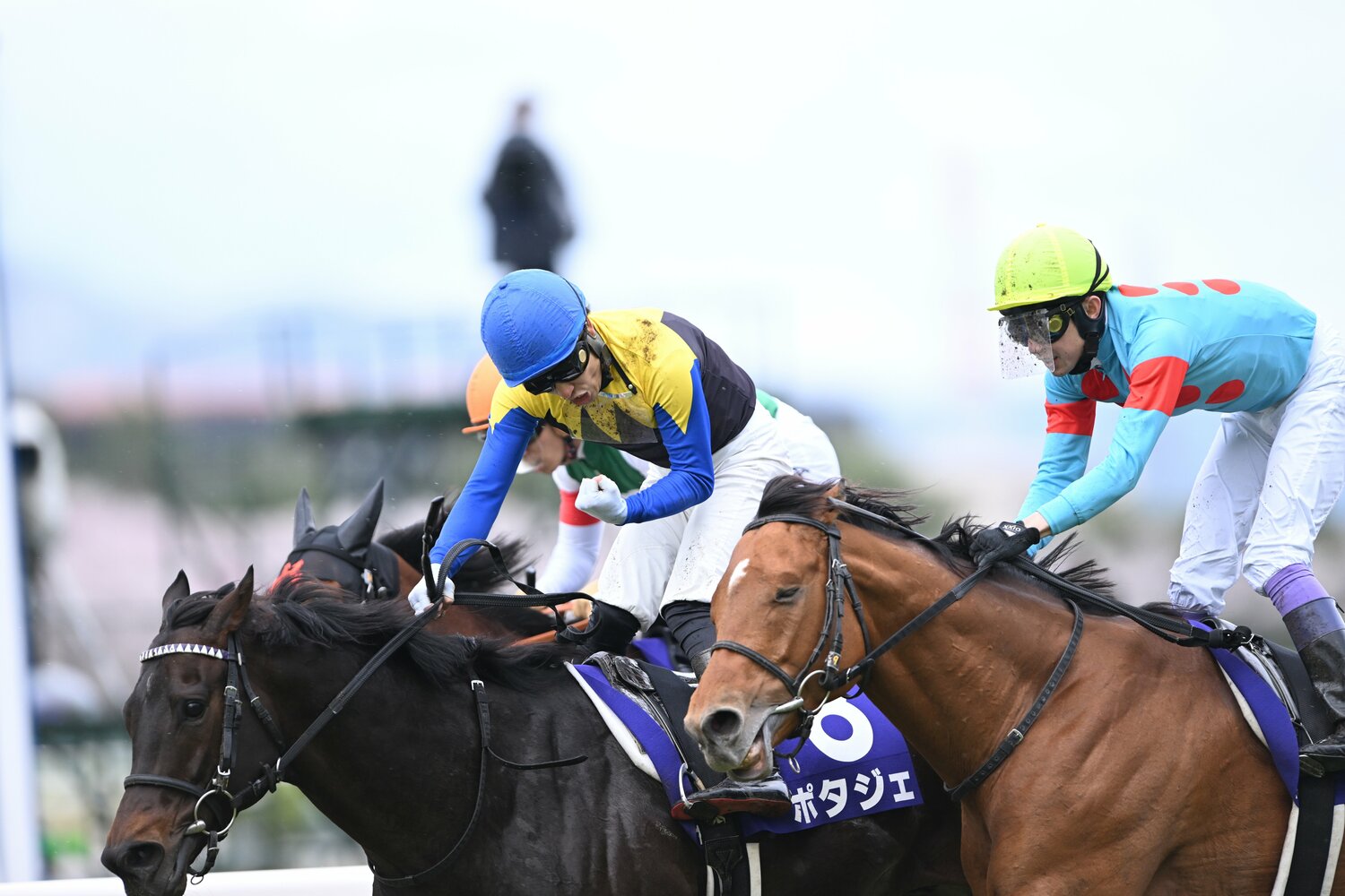 鞍上でガッツポーズを作った吉田隼人　©Keiji Ishikawa