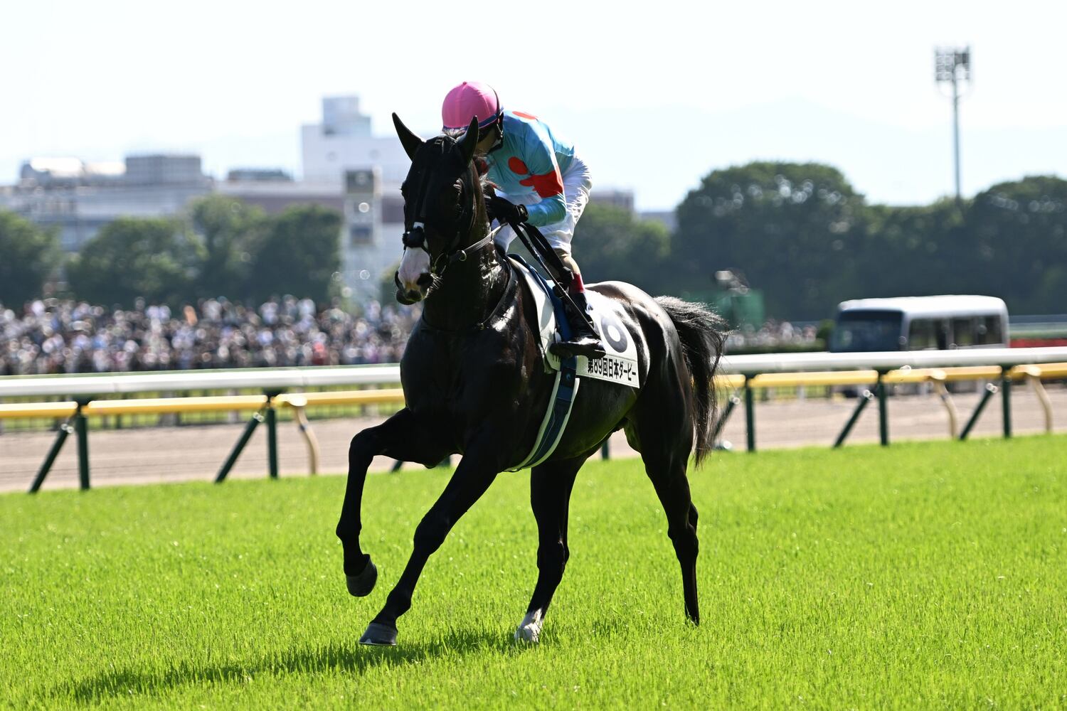 天皇賞 秋は最強古馬勢よりも ハイレベルな3歳勢 が有利か とんでもない馬 イクイノックスの心強いデータ ダービー2着馬は 競馬 Number Web ナンバー