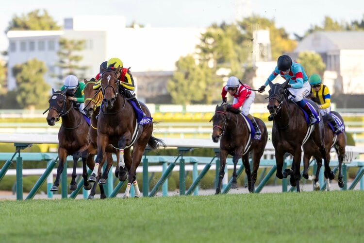 リバティアイランドが見せつけた「名牝の予感」…阪神JF勝利後