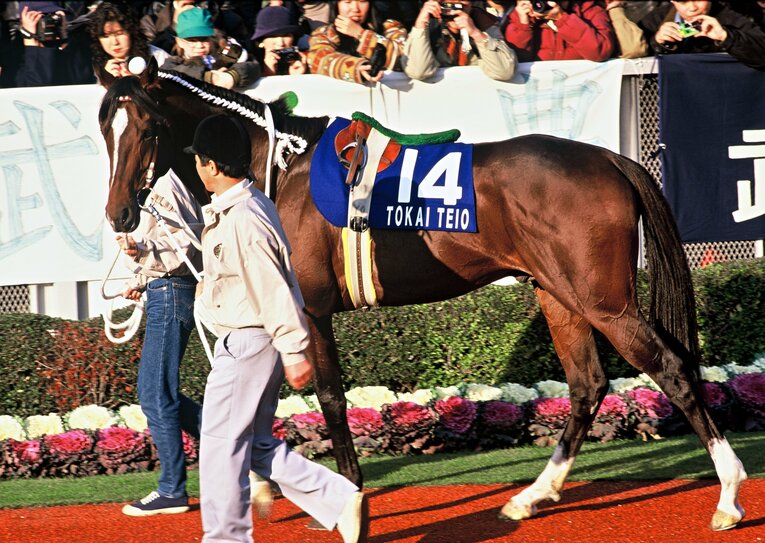 1992年ジャパンカップのパドックでのトウカイテイオー　©Tomohiko Hayashi