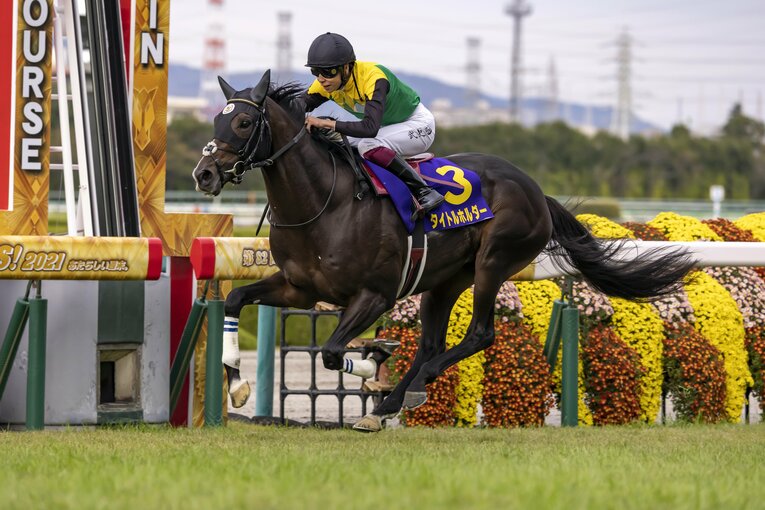 タイトルホルダーが逃げ切った昨年の菊花賞　©Photostud