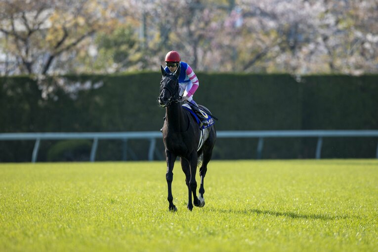 桜花賞2着のウォーターナビレラ。武豊＆幸四郎の兄弟タッグでのGI制覇がかかる　©Photostud