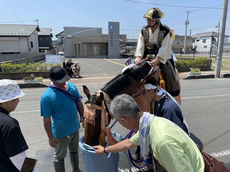 宵乗り行列の道中で水分補給をする馬たち